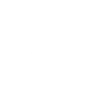 Logo for TRT Total RISC Technology, showcasing its ISO 27001 certification and commitment to reliable information security management.