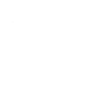 ISO 9001:2015 certification logo representing TRT Total RISC Technology's commitment to quality management systems.